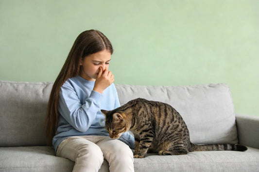 Why Your Cat Litter Box Smells Like Ammonia: Causes + Fast Fixes (With a Simple Cleaning Schedule)