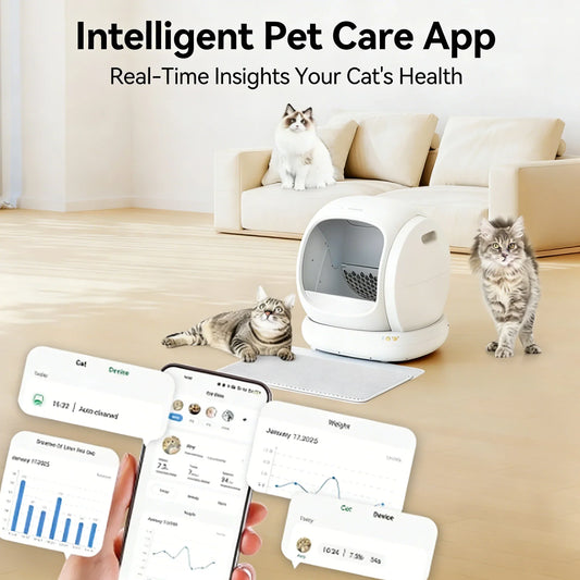 Open vs Enclosed Self-Cleaning Litter Box: Which One Is Best for Your Cat (and Your Home)?