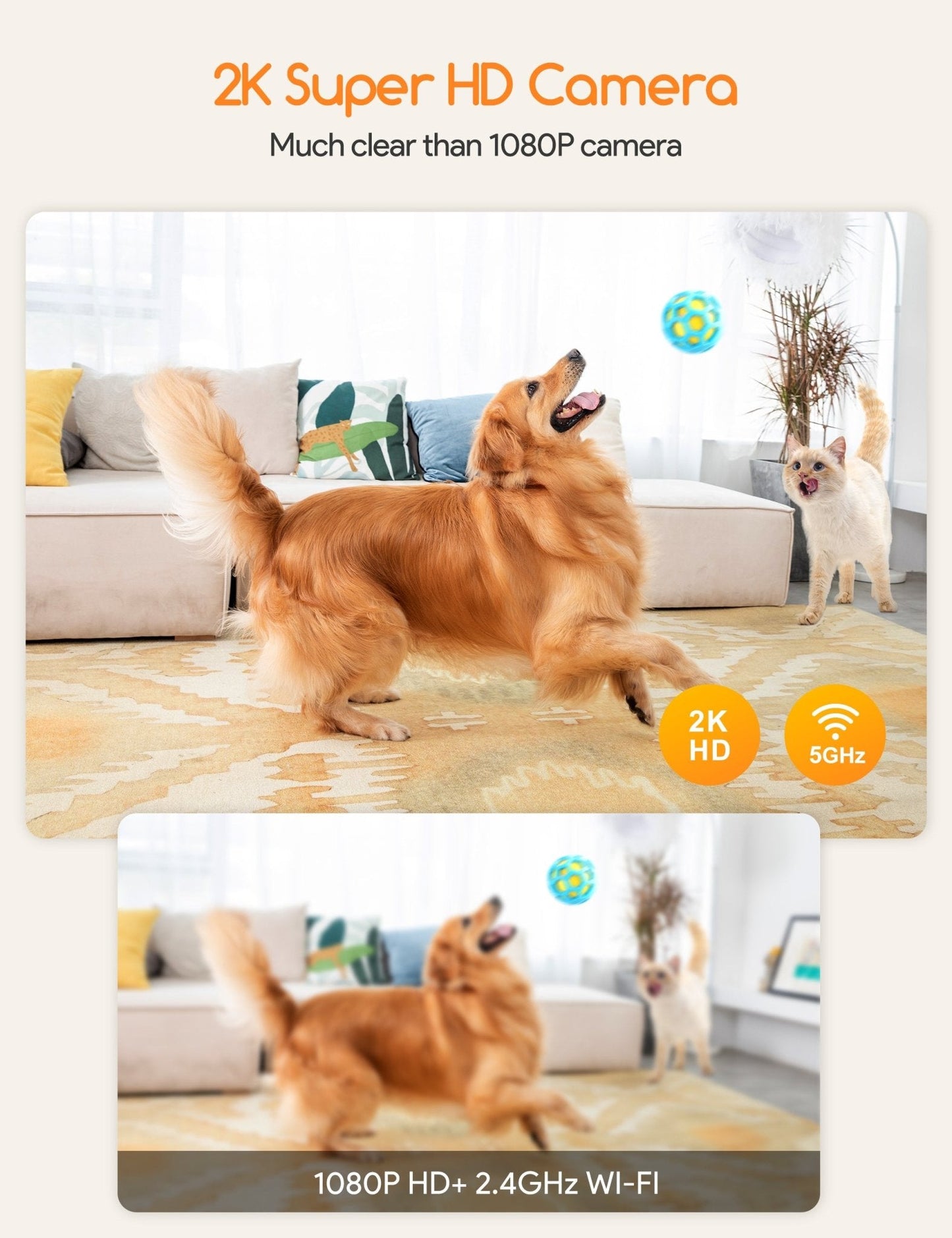 littercore Dog Treat Dispenser with 2K Camera