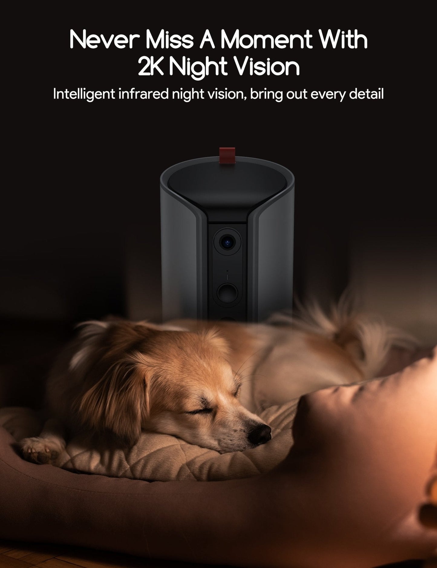 littercore Dog Treat Dispenser with 2K Camera