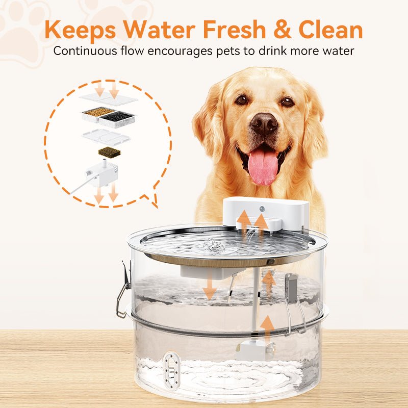 littercore Stainless Steel Dog Water Fountain-DF01